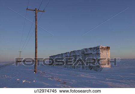winter in Manitoba, prairie scene View Large Photo Image Stock Photography - winter in Manitoba, prairie scene. Fotosearch