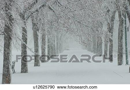 Winter Scenes - Canada View Large Photo Image Stock Image - Winter Scenes - Canada. Fotosearch