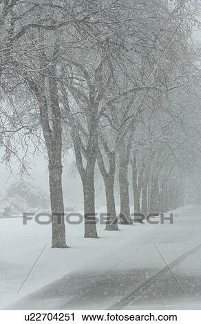 Winter Scenes - Canada View Large Photo Image Stock Image - Winter Scenes - Canada. Fotosearch