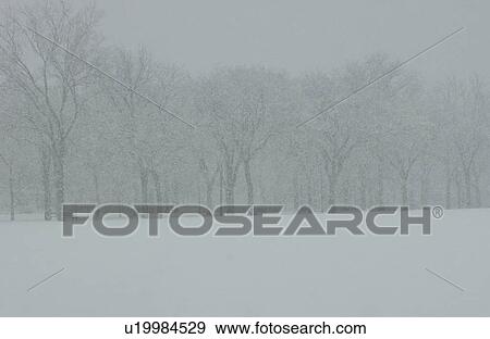 Winter Scenes - Canada View Large Photo Image Stock Photo - Winter Scenes - Canada. Fotosearch