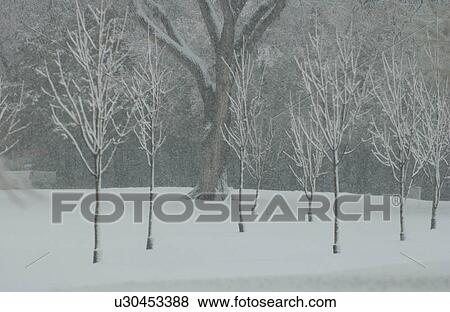 Winter Scenes - Canada View Large Photo Image Stock Photo - Winter Scenes - Canada. Fotosearch