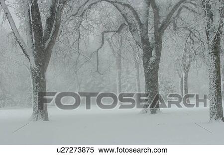 Winter Scenes - Canada View Large Photo Image Stock Photography - Winter Scenes - Canada. Fotosearch