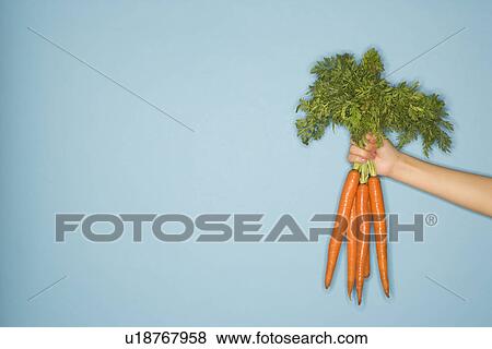 Stock Photo - Arm holding out fresh bunch of carrots against blue background. Fotosearch