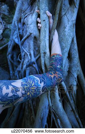 Stock Photograph - Blue-toned portrait of tattooed woman's arm intertwined with Banyan tree . Fotosearch