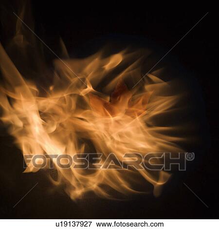 Stock Photo - Circle of flames enveloping a single Maple leaf. Fotosearch