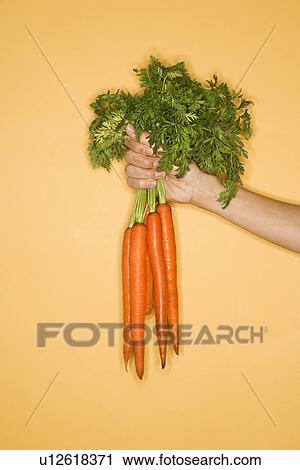 Close up of woman holding bunch of carrots on yellow background View Large Photo Image Stock Image - Close up of woman holding bunch of carrots on yellow background. Fotosearch