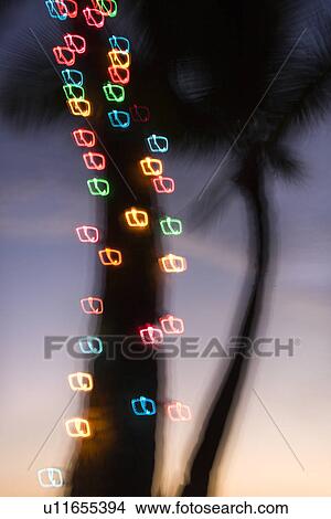 Colored lights on palm tree abstracted by camera movement View Large Photo Image Picture - Colored lights on palm tree abstracted by camera movement. Fotosearch