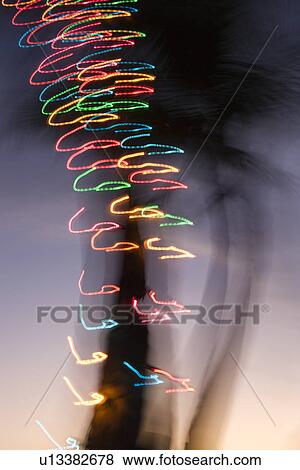 Stock Photo - Colored lights on palm tree abstracted by camera movement. Fotosearch