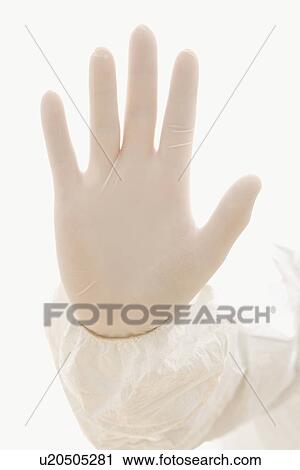 Hand wearing white rubber glove. View Large Photo Image Stock Image - Hand wearing white rubber glove.. Fotosearch
