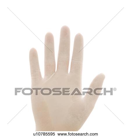 Stock Photography - Hand wearing white rubber glove. Fotosearch
