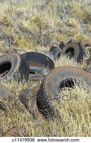 Old dirty abandoned tires in field View Large Photo Image Stock Photo - Old dirty abandoned tires in field. Fotosearch