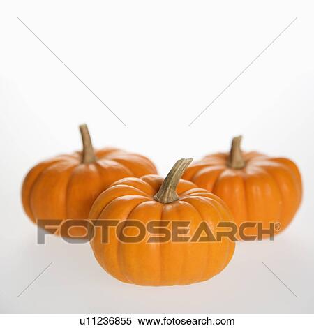 Orange pumpkins View Large Photo Image Stock Photography - Orange pumpkins. Fotosearch