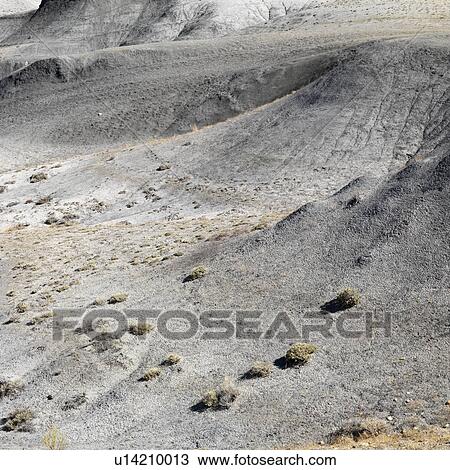 Stock Image - Sandy desert landscape of Cottonwood Canyon, Utah.. Fotosearch