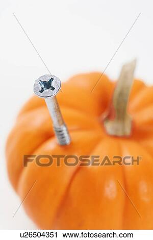 Stock Image - Silver Phillips head screw drilled into side of pumpkin. Fotosearch