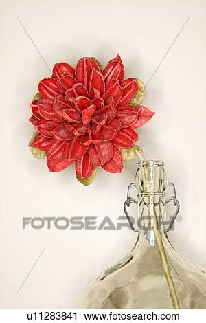 Stock Image - Still life shot of a dried flower in a glass jug. Fotosearch