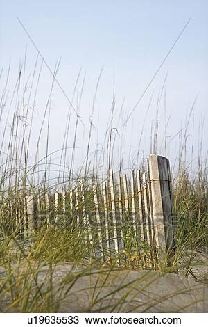 Weathered wooden fence with beach grass on Bald Head Island, North Carolina. View Large Photo Image Stock Image - Weathered wooden fence with beach grass on Bald Head Island, North Carolina.. Fotosearch