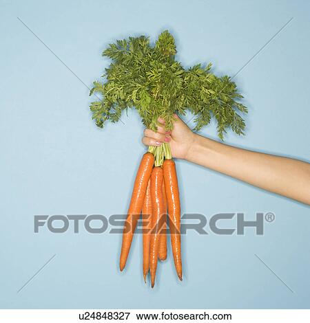 Stock Photo - Woman arm holding out fresh bunch of carrots against blue background. Fotosearch