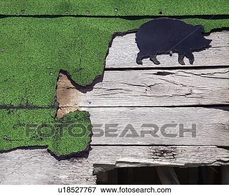 Stock Photo - Wooden siding with green turf and pig drawing. Fotosearch