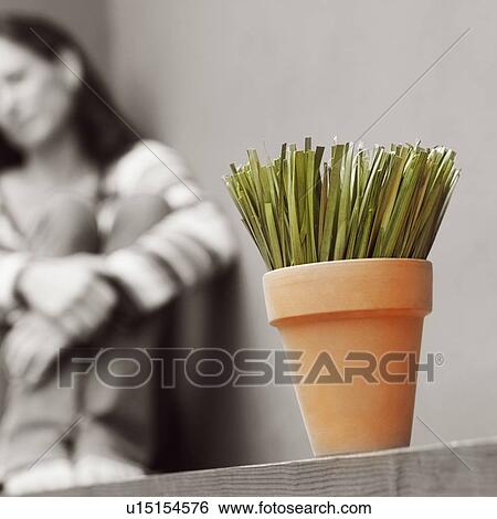 Stock Photograph - Close-up of a potted plant with a mature woman sitting in the background. Fotosearch