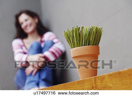 Close-up of a potted plant with a mature woman sitting in the background View Large Photo Image Stock Photograph - Close-up of a potted plant with a mature woman sitting in the background. Fotosearch