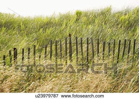 Stock Photo - Fence in a field. Fotosearch