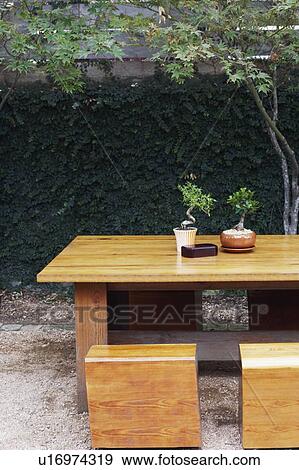 Two potted plants on a table View Large Photo Image Stock Photo - Two potted plants on a table. Fotosearch