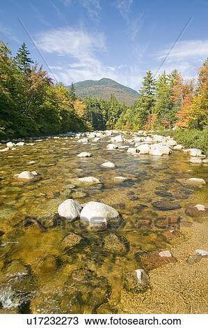 An autumn waterway along the Kancamagus Highway in the White Mountain National Forest View Large Photo Image Stock Image - An autumn waterway along the Kancamagus Highway in the White Mountain National Forest. Fotosearch