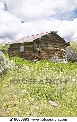 Deserted old homestead in summer View Large Photo Image Stock Image - Deserted old homestead in summer. Fotosearch