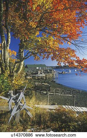 Lobster Village in Autumn View Large Photo Image Stock Photograph - Lobster Village in Autumn. Fotosearch