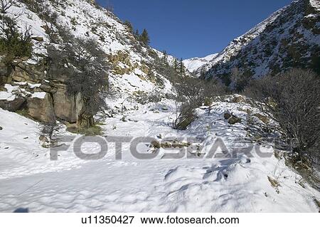 Stock Photo - Side road buried under fresh snowfall. Fotosearch