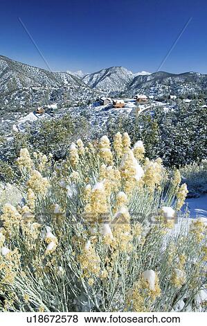 Snowy landscape after winter storm View Large Photo Image Stock Photo - Snowy landscape after winter storm. Fotosearch