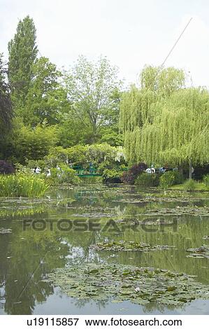 The Gardens at Giverny with Monet's Bridge View Large Photo Image Stock Photo - The Gardens at Giverny with Monet's Bridge. Fotosearch
