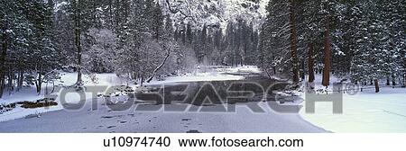 The Merced River In Winter, Yosemite National Park View Large Photo Image Stock Image - The Merced River In Winter, Yosemite National Park. Fotosearch