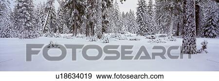 Stock Photo - Winter Snowstorm in the Lake Tahoe Area. Fotosearch