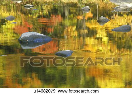 Autumn Stream, New Hampshire View Large Photo Image Stock Photo - Autumn Stream, New Hampshire. Fotosearch