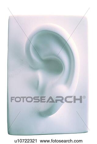 Stock Image - carving, artistic, ear, art form, art, sculpture, carve. Fotosearch