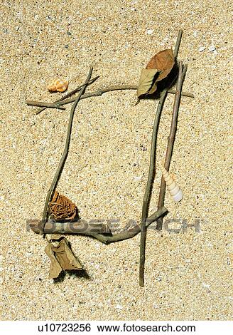 Stock Photograph - branch, frame, leaf, rim, seashell. Fotosearch