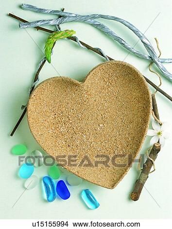 Picture - branch, frame, rope, rim, daisy. Fotosearch