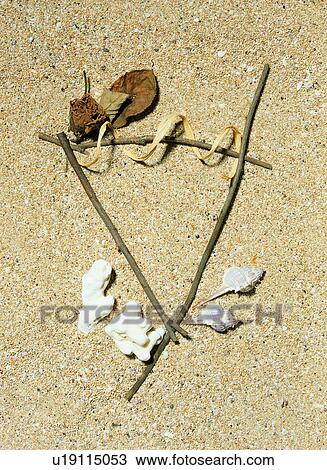 branch, frame, shell, leaf, sand, rim View Large Photo Image Stock Image - branch, frame, shell, leaf, sand, rim. Fotosearch