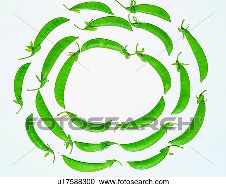 frame, rim, bean, vegetable, green View Large Photo Image Stock Image - frame, rim, bean, vegetable, green. Fotosearch