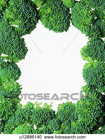 Stock Image - frame, rim, cauliflower, vegetable, green. Fotosearch
