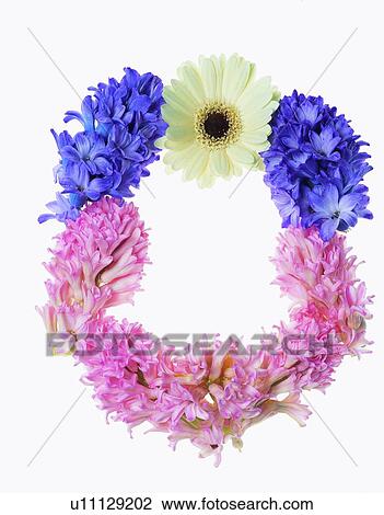 frame, rim, flower, purple, pink View Large Photo Image Stock Image - frame, rim, flower, purple, pink. Fotosearch