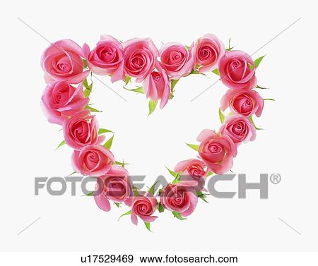 Stock Photo - frame, rim, heart-shaped, pink, rose. Fotosearch