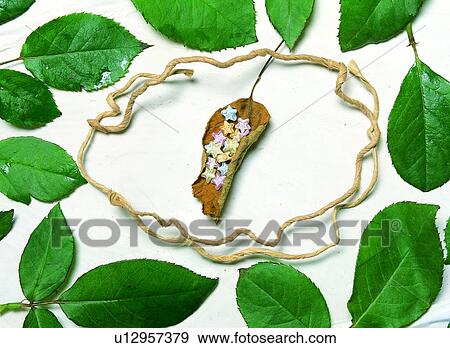 Stock Photo - frame, rim, leaf, green, star. Fotosearch