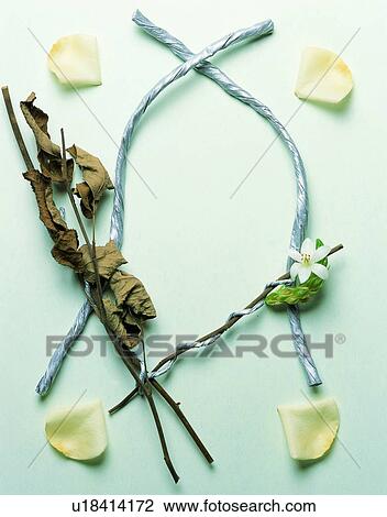 frame, rim, rope, petal, branch View Large Photo Image Stock Image - frame, rim, rope, petal, branch. Fotosearch