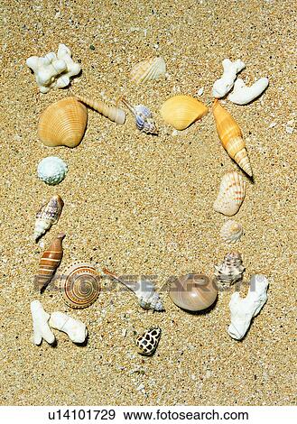 frame, rim, sand, stone, seashell View Large Photo Image Stock Photo - frame, rim, sand, stone, seashell. Fotosearch