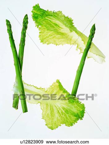 frame, rim, vegetable, green, asparagus View Large Photo Image Stock Photo - frame, rim, vegetable, green, asparagus. Fotosearch