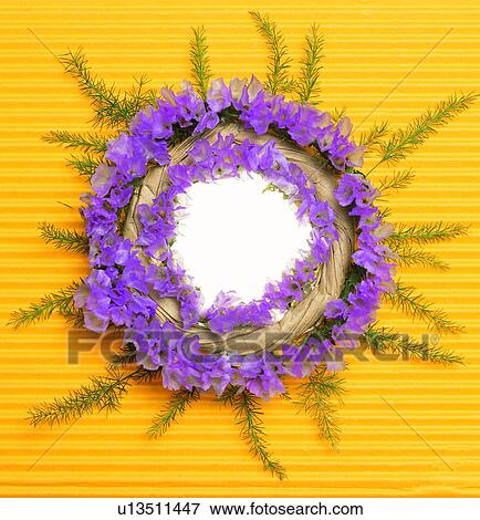 purple, circle, yellow, frame, petal View Large Photo Image Stock Photo - purple, circle, yellow, frame, petal. Fotosearch