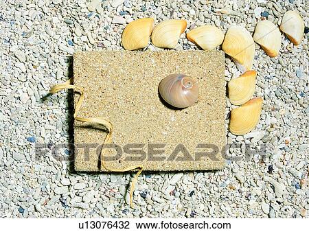 rim, frame, stone, seashell View Large Photo Image Stock Image - rim, frame, stone, seashell. Fotosearch