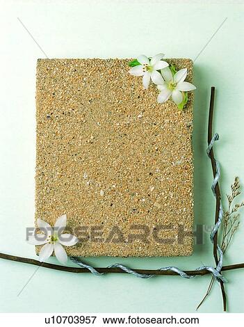sand, frame, flower, rim, branch View Large Photo Image Stock Photo - sand, frame, flower, rim, branch. Fotosearch